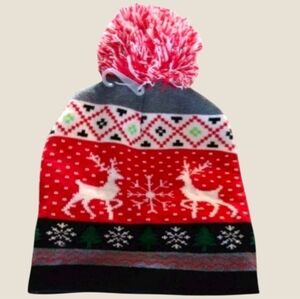 NWOT Christmas Unisex Adult Size Cozy Reindeer Snowflake Knit Beanie Pom Red
